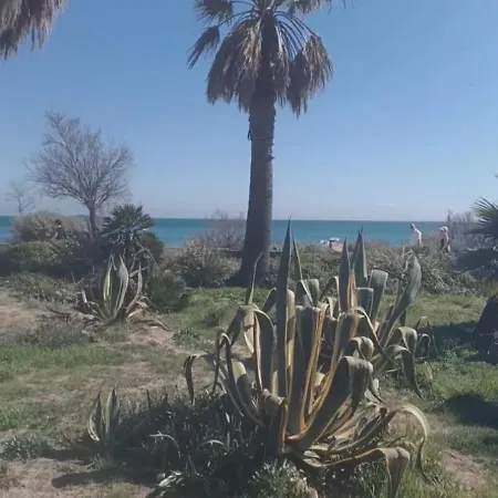Port * Frejus